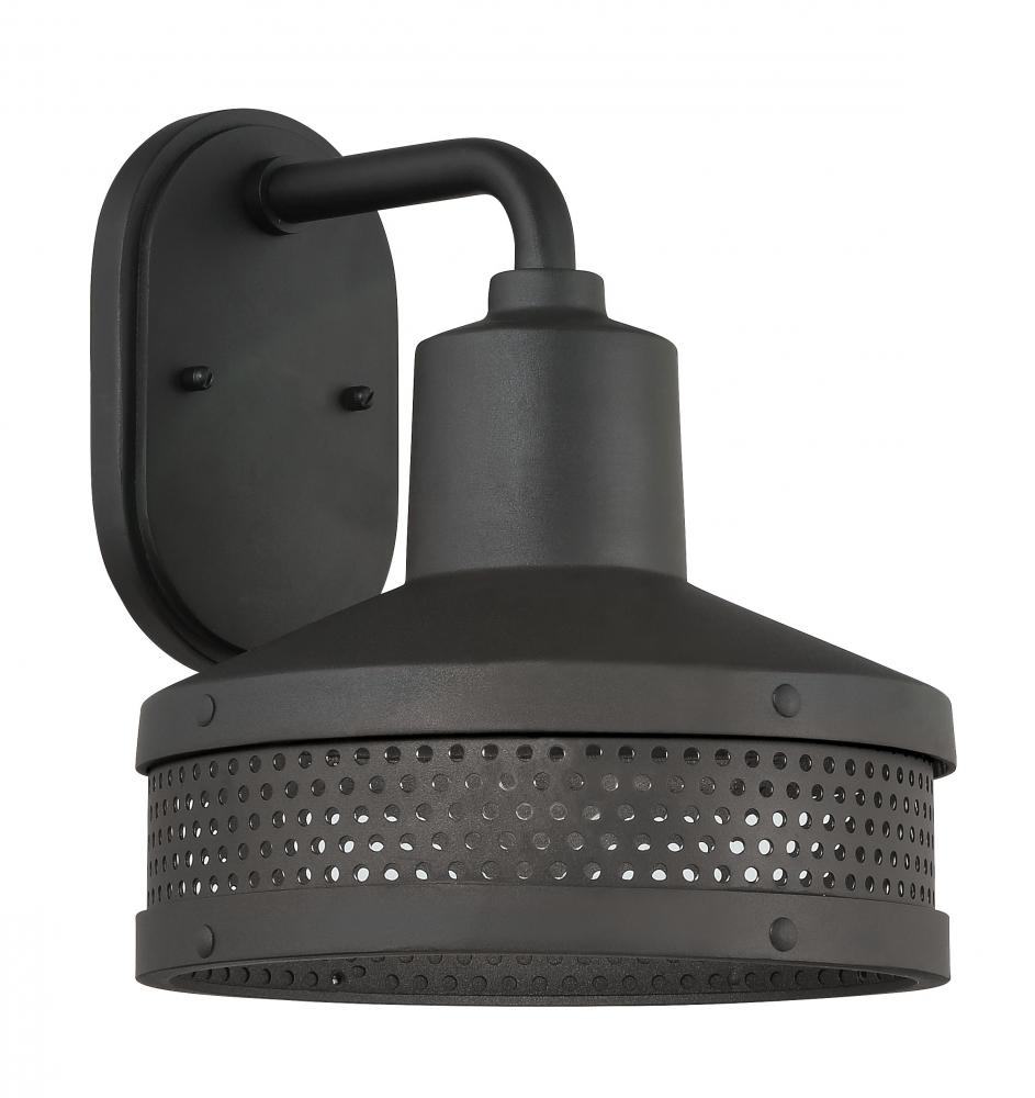 Abalone Point - 10" 1 Light Outdoor Wall Mount