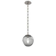 Hammerton LNB0066-01-BS-GS-CH1-L1 - Aster Round Single Pendant with Chain (LED)
