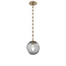 Hammerton LNB0066-01-GB-GS-CH3-L1 - Aster Round Single Pendant with Chain (LED)