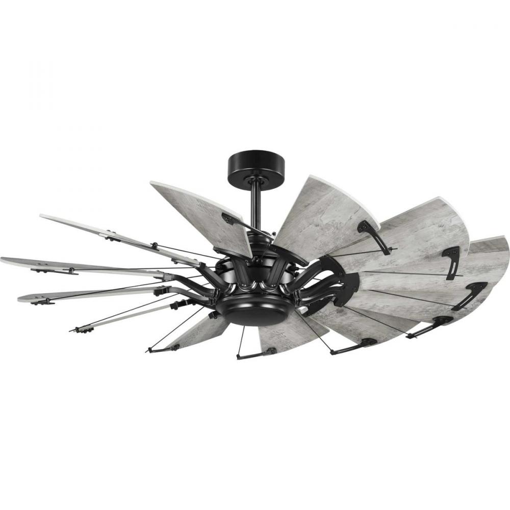 P250065-31M 52IN CEILING FAN