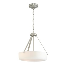 Progress P500507-009 - P500507-009 2-L PENDANT CONV.