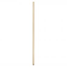 Cyan Designs 11972 - 48" Downrod | Aged Brass