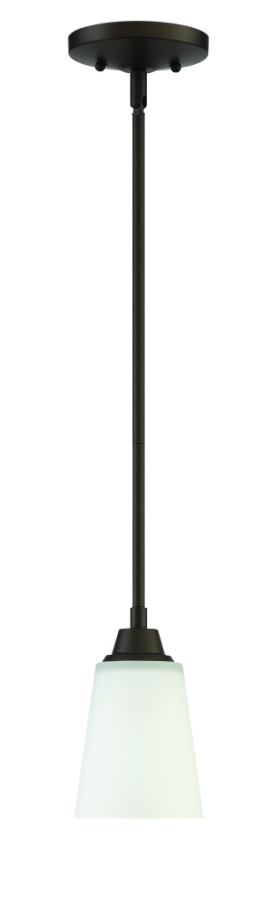 1 Light Mini Pendant