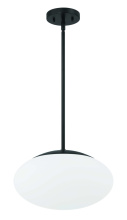 Craftmade 56894-FB-WG - 1 Light Large Oval Pendant with White Glass