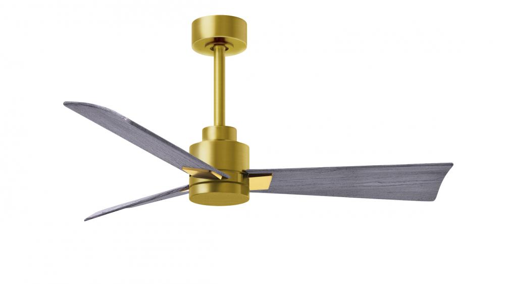 Alessandra - 42" Three Blade Transitional Ceiling Fan - Brushed Brass Finish