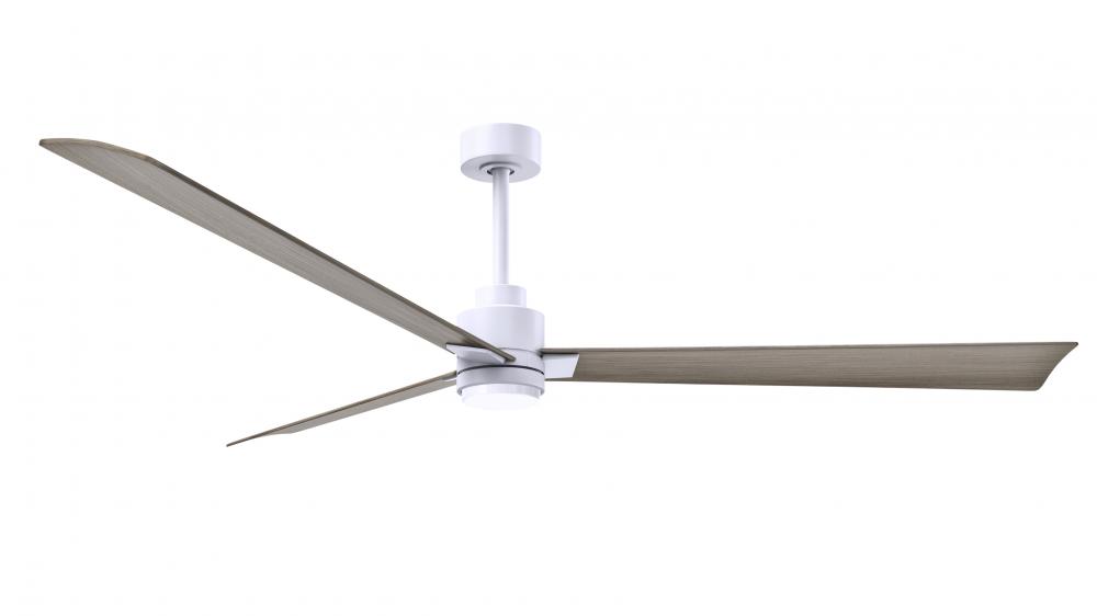 Alessandra-72" Three Blade Transitional Ceiling Fan-5CCT Integrated LED-Matte White Finish