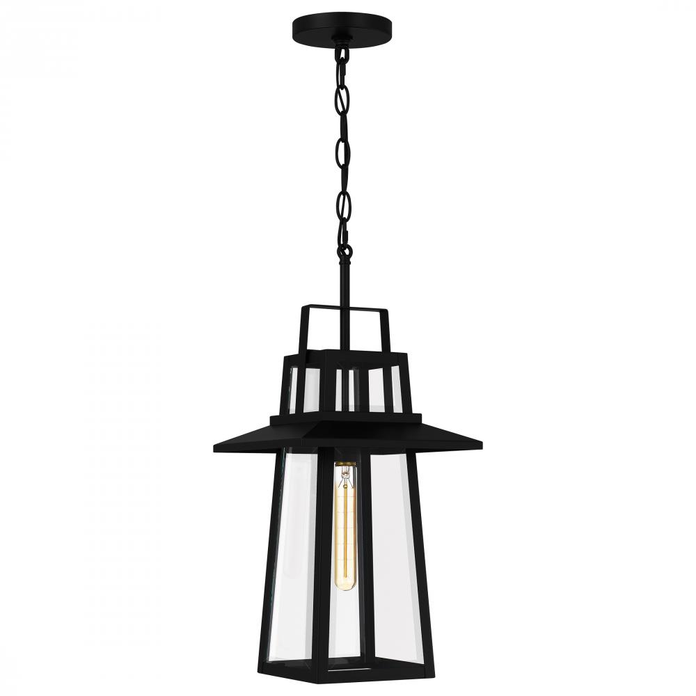 Devonport 1-Light Matte Black Outdoor Hanging Lantern