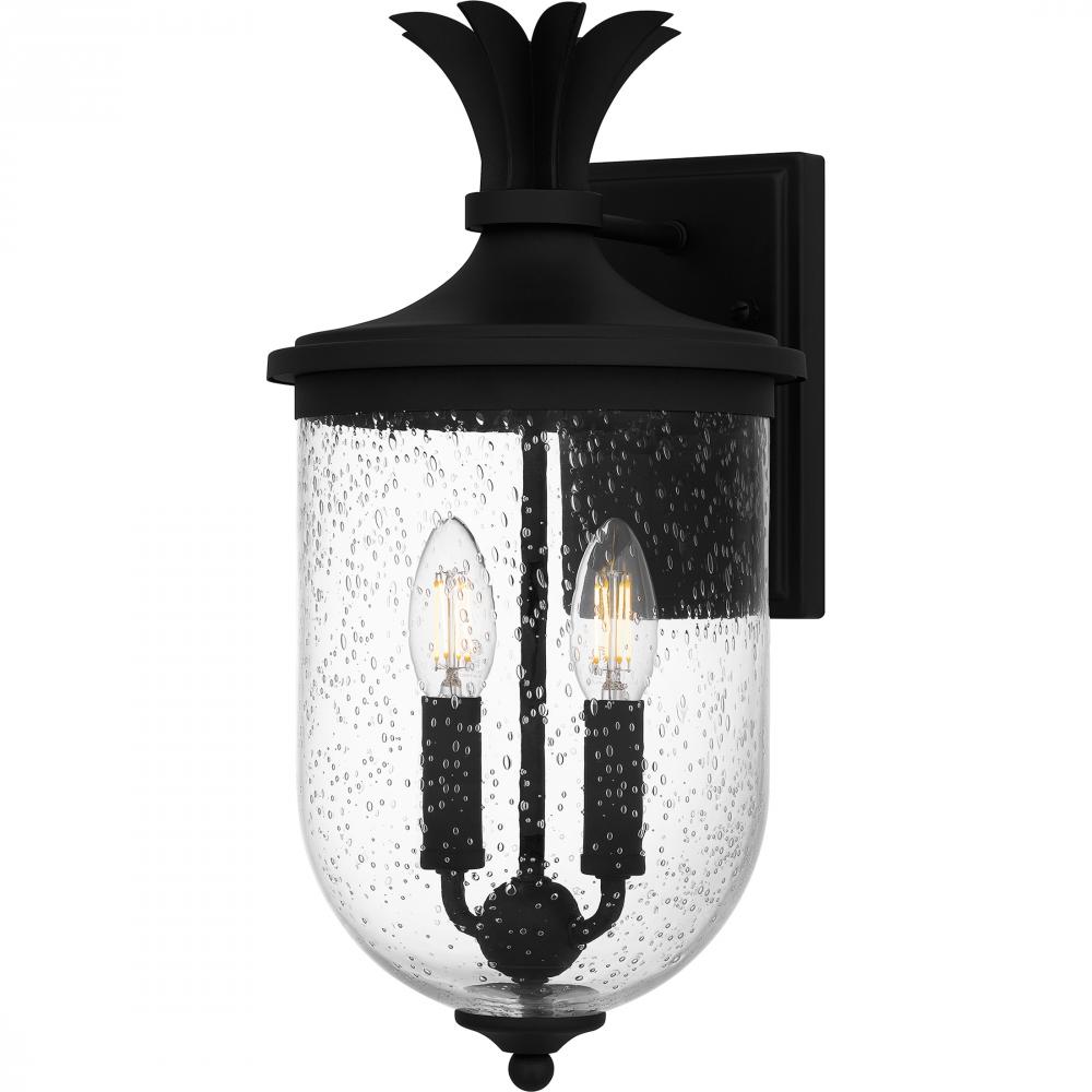 Havana 2-Light Earth Black Outdoor Wall Lantern