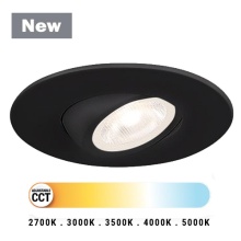 Eurofase 45364-020 - MIDWAY 2 REC RD GBL BK