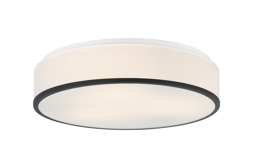 Echo Matte Black Ceiling Mount