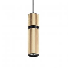Avenue Lighting HF1075-BBK - Cicada 1 Light Pentant Knurled Brass With Black