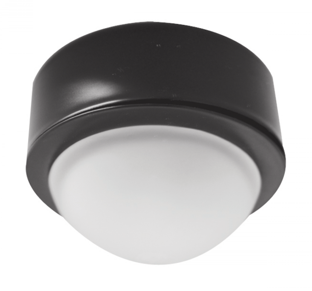 MINI LIGHT BLK RING WHT FRSTD GLOB