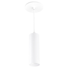 Elco Lighting E25PW-11HC - 2" PNDNT 38° 1150LM 40K-27K WHT