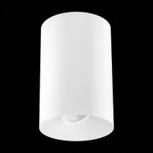 Elco Lighting E429FS-10CT5 - 4" ADJ SRFC MNT 38 1000LM 5CCT SLVR