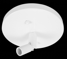 Elco Lighting EP905W - SLOPE CEILING PENDENT