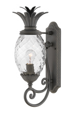 Hinkley 2120MB - Medium Wall Mount Lantern